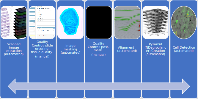 ../_images/pipeline.flow.png